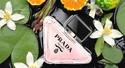 prada flower can